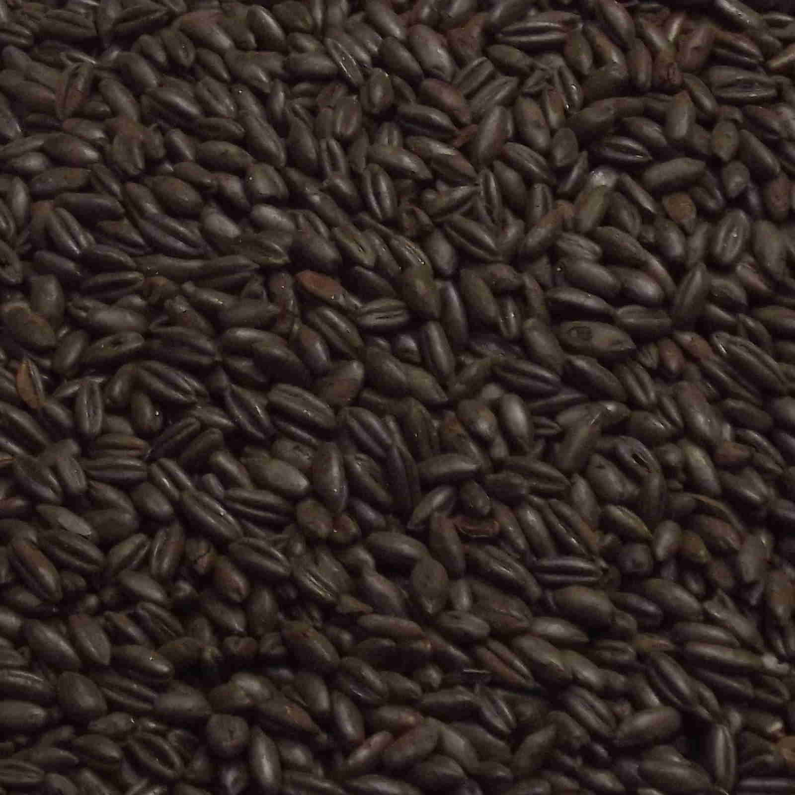 Chocolate Rye Malt, Weyermann, EBC: 500 – 800