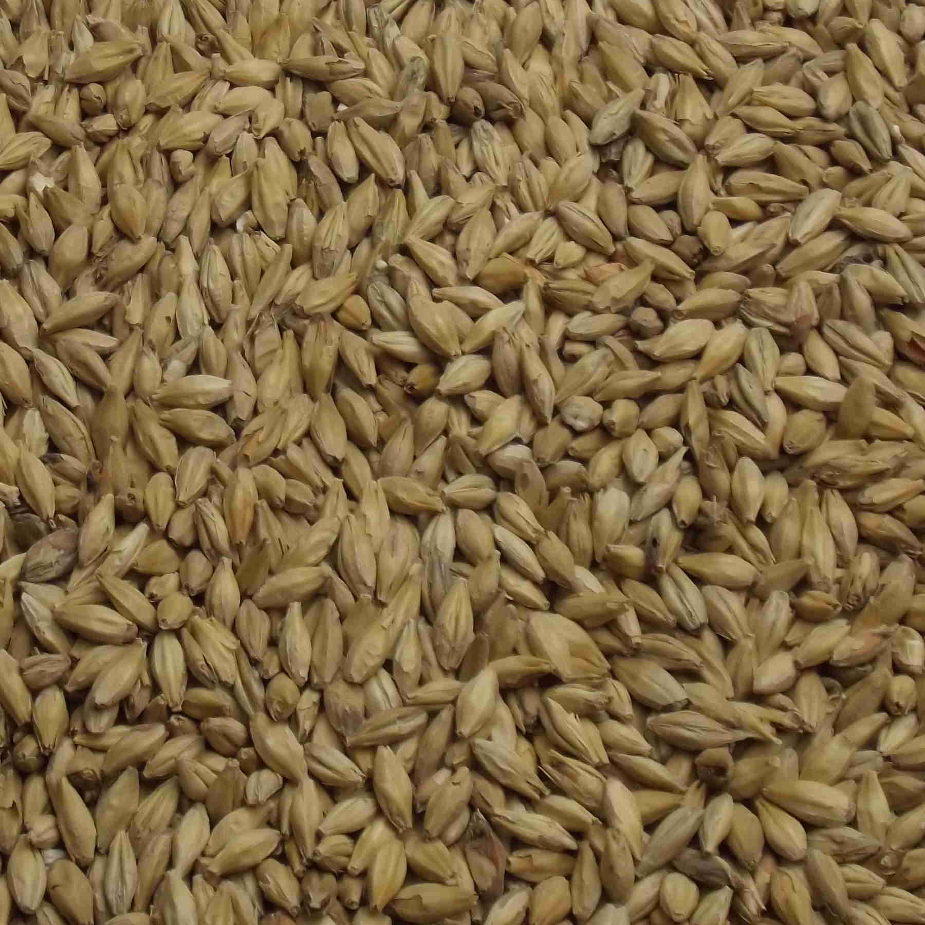Müncher Malt, Fulgsang, EBC: 12 – 16