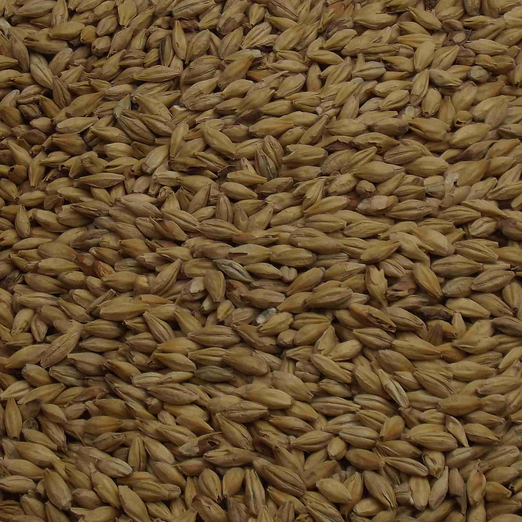 Munich Malt Type 2, Weyermann, EBC: 20 – 25