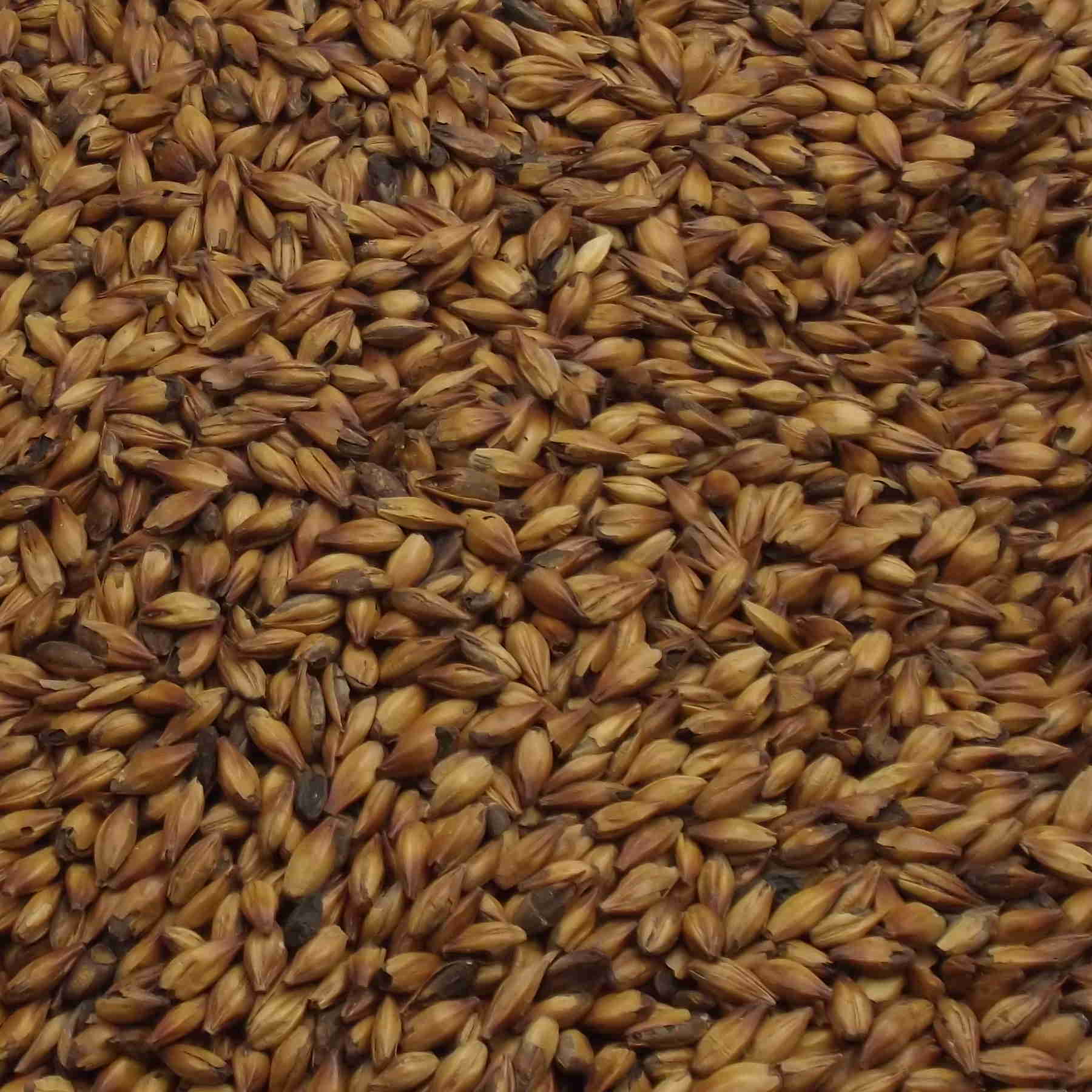 Special W (B), Weyermann, EBC: 280 – 320 Special W (B), Weyermann, EBC: 280 – 320